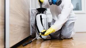 Professional Pest Control in Orangetree, FL